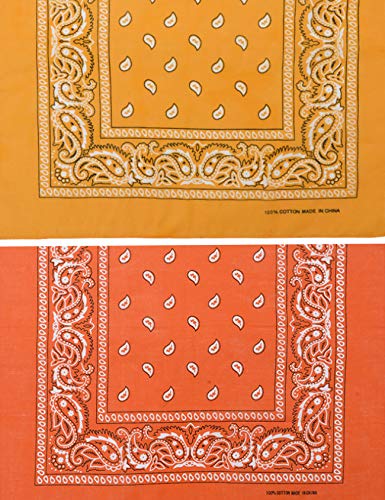 Jueshanzj - Fascia per capelli, motivo paisley