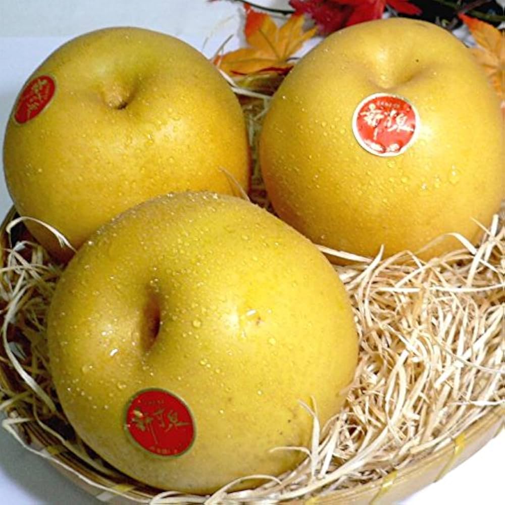 「無袋」新甘泉　16玉　5000g 無袋」新甘泉 16玉 5000g