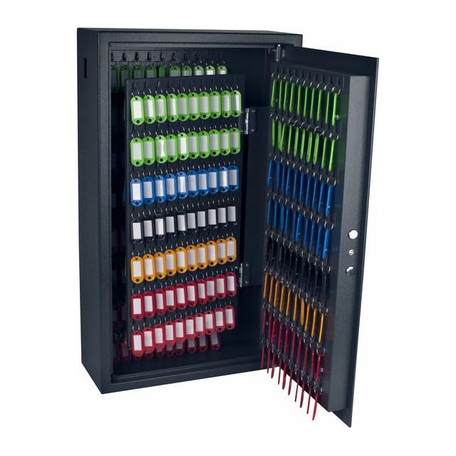 PAVO Armoire à clés Haute sécurité électronique, capacité 300 clés.