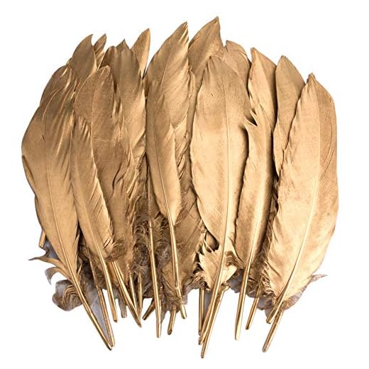 Plumas de Ganso, 40 pcs Oro Natural Plumas de Gallo Manualidades Decoración para Disfraces Hats, Hogar Bricolaje, Ropa Casa Fiesta (accesorio de disfraz) (Feathers J)