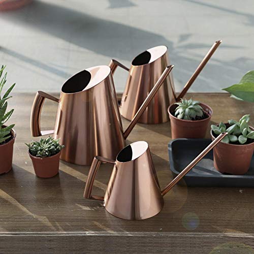 Arrosoir en Acier Inoxydable Bonsai Domestique Mini Plantes D'intérieur Brossées Arrosoir à Bec Long Arrosoir De Style Moderne Or Rose(L)