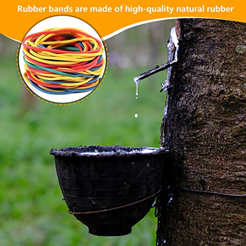 Elastic Bands, 200 Pcs Colorful Rubber Bands, Elastic Rubber Bands for Office, Home, School Supplies (4 Colors) image 2