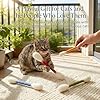 FIALAME Cotton Swabs Cat with Catnip, 6 Pk Giant Kitten Chew Sticks for Indoor Boredom, Durable Dental Teething Ropes, Big Interactive Felt Kitty Kicker Play Lover Gift Accessories (Beige) #4