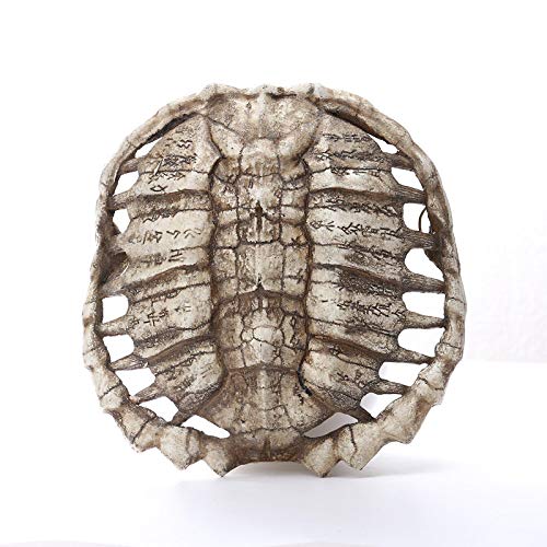 Résine murale écaille de tortue, cadeau idéal pour passionnés - 4