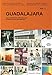 Guadalajara: A Particular Geography: Volume 2 (Grupos y Espacios en M&Atilde;&copy;xico. Arte contempor&Atilde;&iexcl;neo de los 90)