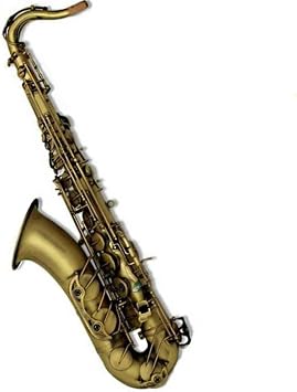 saxophone Professional Bb Tune Brass Tenor Saxophone Matte Music Instrument Sax With Mouthpiece Case