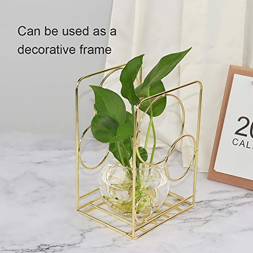 Metal Gold Bookends,Beautiful, Not Rusty, 5.3 In × 3.9 In × 7.6 In The Metal Book Ends Is A Good Choice For Organizing Your Desk (Gold Circle) #TOP3