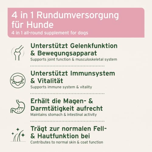 AniForte 4in1 Complete Dog Pulver 250g - Natürliche Rundumversorgung für Hunde aus Gelenkpulver, Unterstützung Gelenke, Immunsystem, Haut, Fell, Magen-Darm-Aktivität mit hoher Akzeptanz
