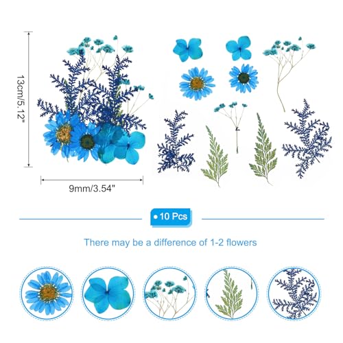 Flores Secas Prensadas Azules PATIKIL para Manualidades miniatura 2