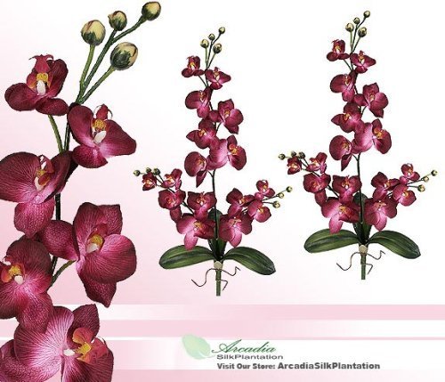 TWO 30" Phalaenopsis Orchid Artificial Silk Flower Bendable Sprays by Arcadia Silk Plantation