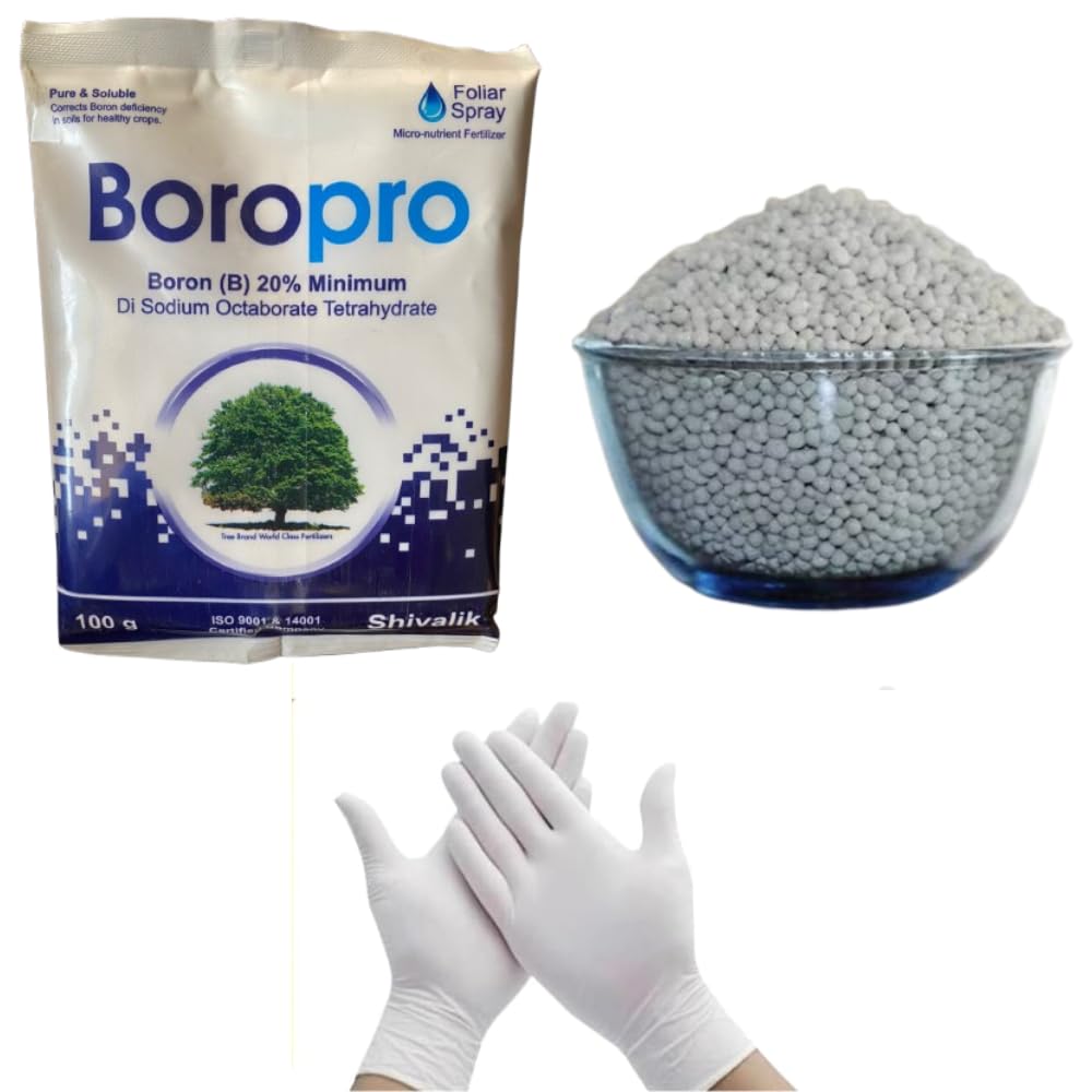 Combo Boron 20% chileted Boro Pro for all crop and flowers plants use 100gm with 300 gm Dap with free gloves-image-18