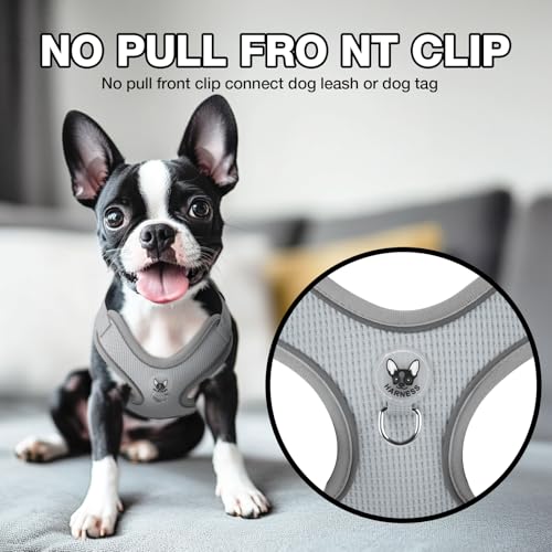 Feycig Hundegeschirr Kleine Hunde, Anti Zug Einstellbar Reflektierend Geschirr, Atmungsaktiv Weiches aus Mesh Geschirr Hund Leichtes Welpengeschirr Brustgeschirr mit Griff (Grau, X-Small)