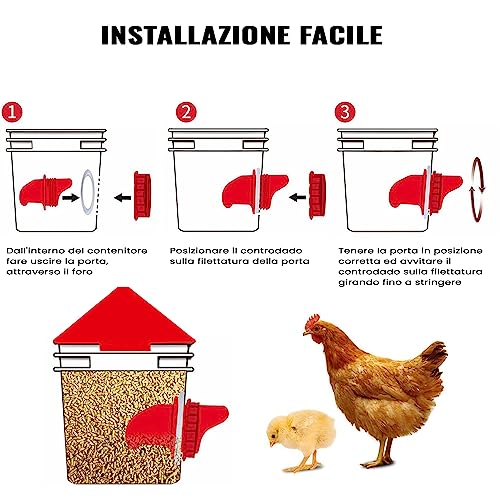 Easy Media mangiatoia per galline, polli, da 5KG, automatica, antispreco, antipioggia, antitopo, con 4 porte di alimentazione, con piedini o da appendere - immagine 5