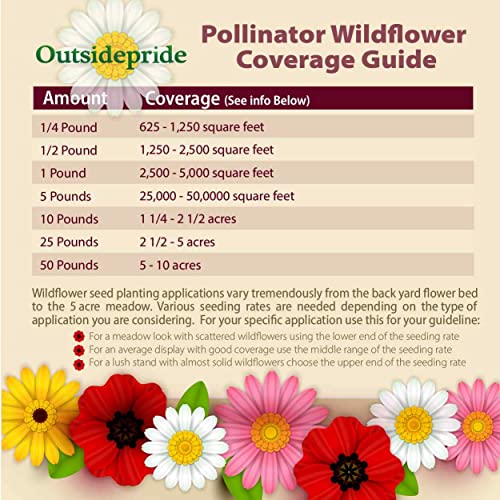 Outsidepride Pollinator Wild Flower Seed Mix For Attracting Pollinating Insects - 1/4 Lb #TOP2