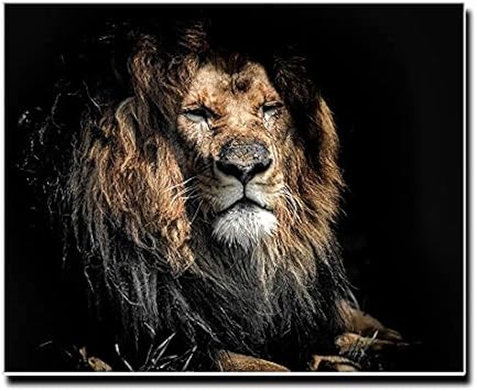 Amazon Co Jp アートパネル キャンバス ファブリック パネル アートボード インテリア おしゃれ 長方形 正方形 大きい 額縁 壁紙 インテリア ブランド ライオン Lion ぬいぐるみ 水族館 動物園 グッズ 写真 イラスト ホーム キッチン