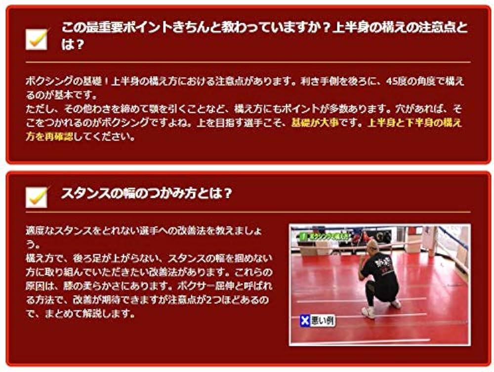 ボクシング上達プログラム レビュー
