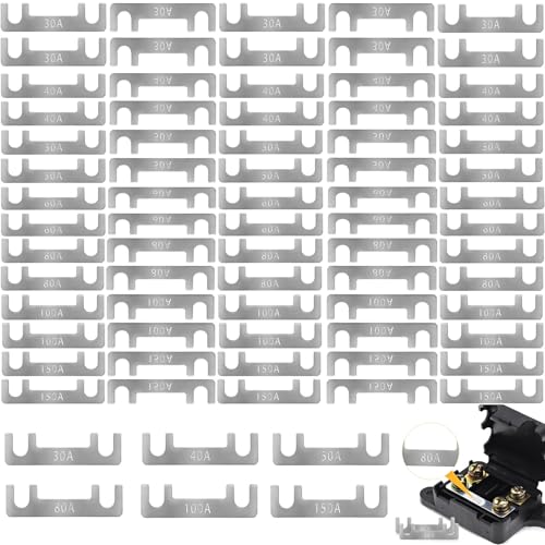 60 Stk Streifensicherungen Blattsicherung, Auto Sicherung 30A-150A Maximale Spannung Bis 32V, 30A, 40A, 50A, 80A, 100A, 150A Sicherungsstreifen Blattsicherung, Auto Sicherung Für Pkw Wohnmobil