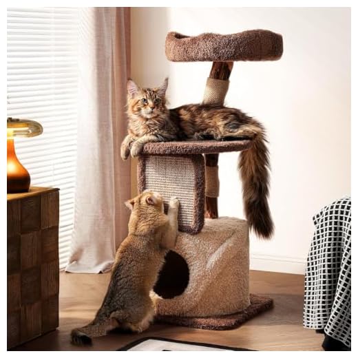 Sopapets 40" Small Cat Tree for Apartments, Modern Cat Tower for Indoor Cats with Solid Wood Branch, Sisal Scratching Posts, Plush Perches and Hideaway Condo, Brown