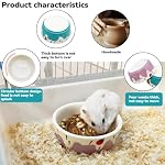 2 Pack Hamster Food Bowl Small Animals Ceramic Food Water Bowl Prevent Tipping Moving for Gerbil Chinchilla Hedgehog Rat (Color: Purple + Blue) - Image 5