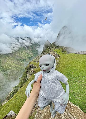 Anano Reborn Baby Dolls 14 Inches Alien Realistic Newborn Alien Baby Doll Weighted Silicone Intelligent Beings Baby Doll Toddler Toys For Age 3 #TOP2