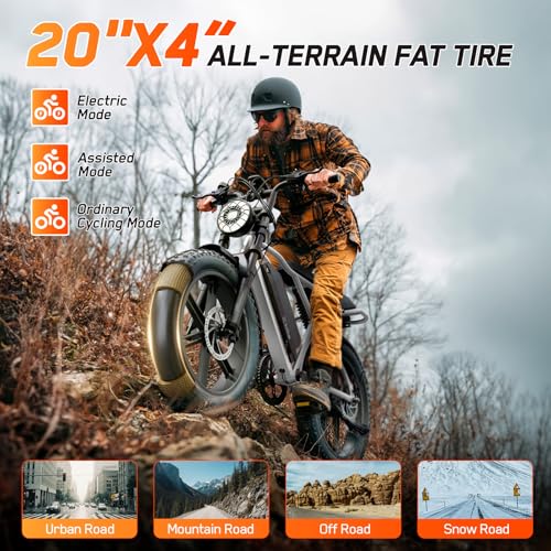 Image of TST Electric Bike for Adults, 48V 15Ah Battery for Urban Cycling, Fat Tire