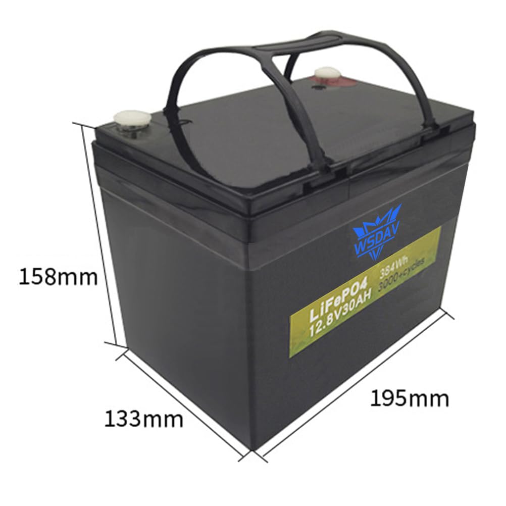 Batteria al Litio Ferro fosfato da 12,8 V, Batteria di accumulo di energia da 12,8 V, batterie di Ricambio da 30 Ah per Motore da 0 a 400 W