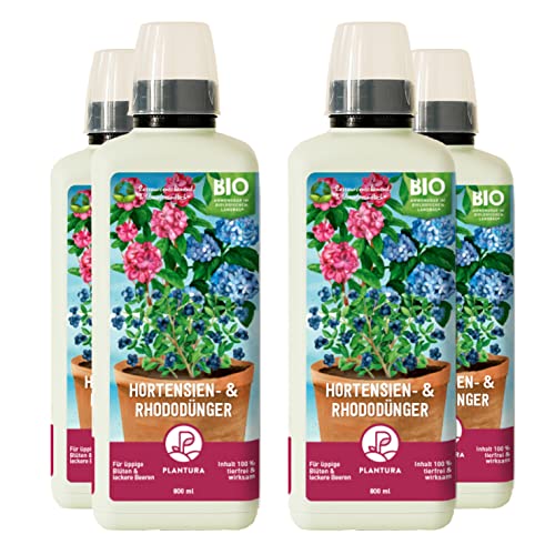 Plantura Bio-Hortensien- & Rhododendrondünger, Flüssigdünger, auch für Blaubeeren & Azaleen, 3,2 L