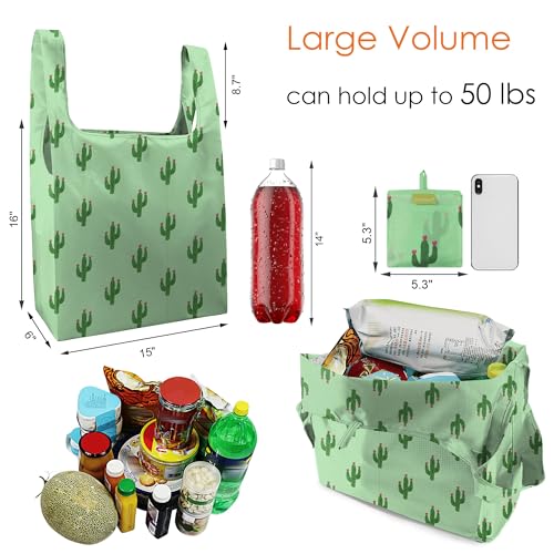 La Mejor review de Comprar cactus los 10 mejores. 8 Imagen adicional