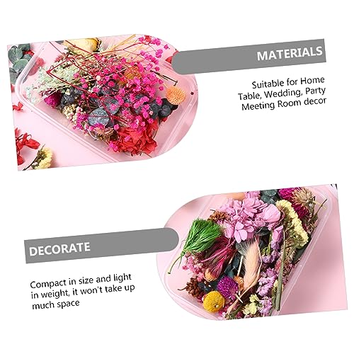 Kit DIY Flores Secas para Manualidades y Decoración miniatura 3