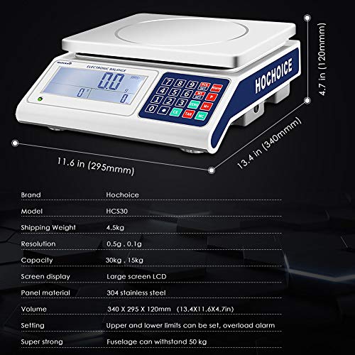 Hochoice Industrial Counting Scale Gram Scales For Parts And Coins 66Lb/0.00022Lb-30Kg / 0.1G Accuracy With Rs232 Port For Connecting Computer Or Printer #TOP4