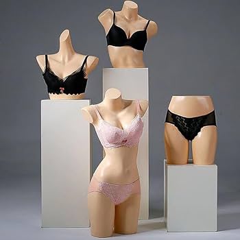 Amazon.co.jp: マネキン マネキン胸尻モデル 下着ディスプレイモデル
