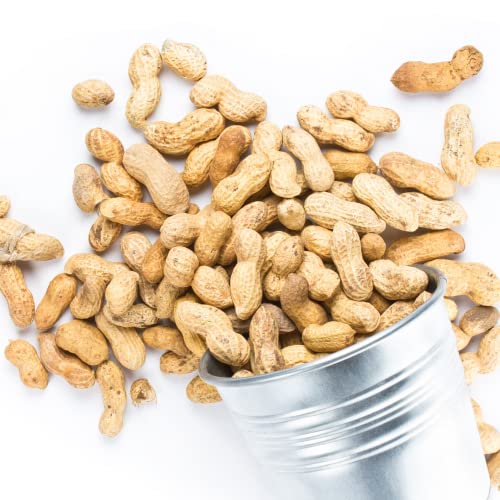 The Amish Eco-Farm | Fancy Size | Bulk Raw Peanuts In Shell, Virginia Grown | Unsalted Peanuts | Boiled Peanuts | Squirrels And Birds Feed. (10Lb) #TOP2