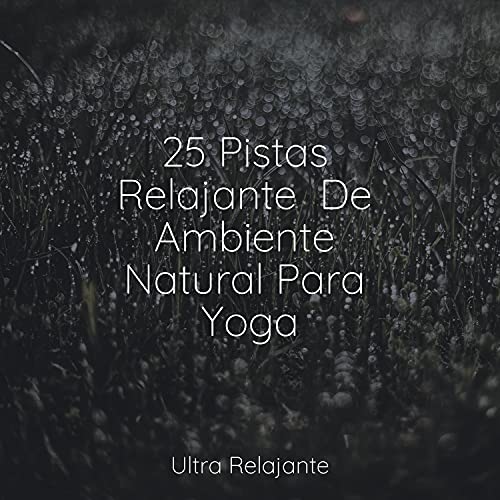 Serenata De Delfines