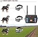 SXDDHZX Dog Wireless Fence & Training Collar 2 in 1, Pet Boundary Containment System, Waterproof Receiver, Beep & Shock/Vibrate/Shock Dog Collar, Adjustable Range, Harmless for All Dogs,for2dogs