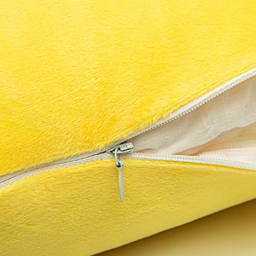 Image of NTBAY Velvet 2 Pack Square Zippered Throw Pillow Covers, Super Soft and Luxury Euro Cushion Covers for Sofa, Couch, 16x16 Inches, Yellow