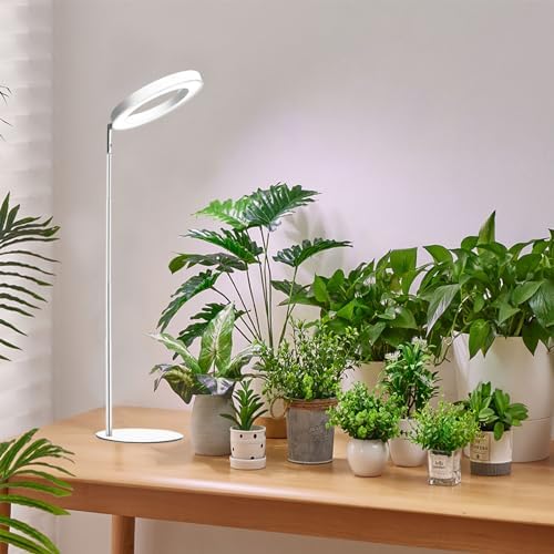 Yadoker - Grow Light for Indoor Plants, LED Desk Light, Adjustable Height, Auto Timer with 8/12/16 Hours, 10 Level Brightness, Ideal for Small Plant Growing