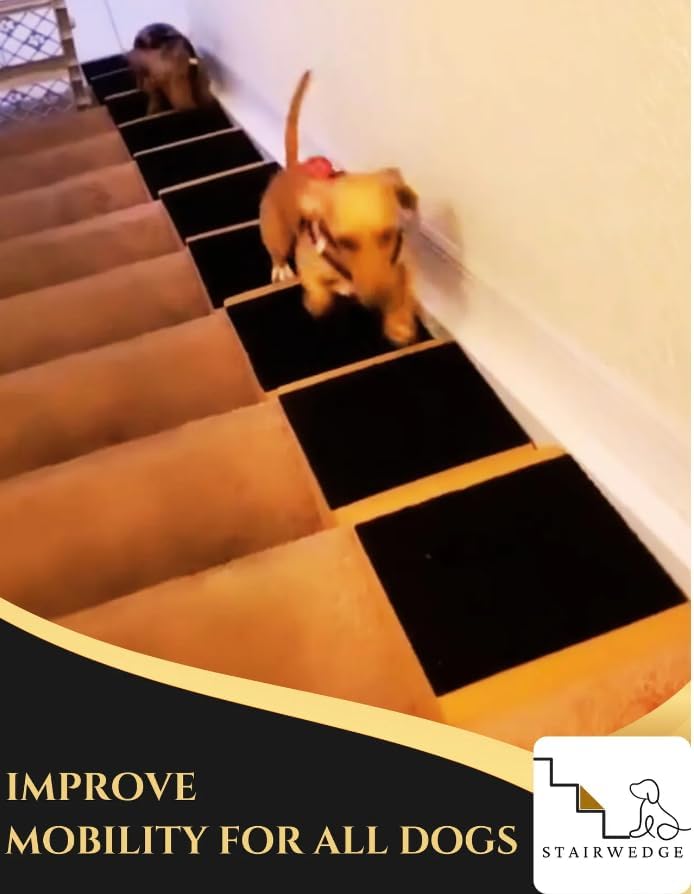 Cork and Carpet Modular Pet Ramp for Small Dogs
