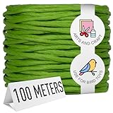 Super Bird Creations SB50022 Colorful Twisted Paper Cord Rope 3/16' Diameter for Crafting & Bird Toys -100 Meters (109 Yards) - (Green)