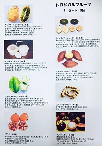 Amazon お任せ トロピカル フルーツ 珍種約5から7種 説明書付 名古屋市中央卸売市場バイヤー厳選 カネトク小塚青果株式会社 果物 通販