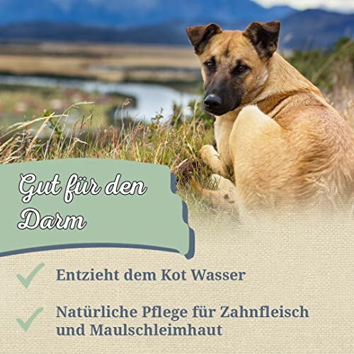 Krauterie Brombeerblätter Hund, Einzelfuttermittel für Hunde (100 g), Brombeerblätter Feinschnitt in Spitzenqualität