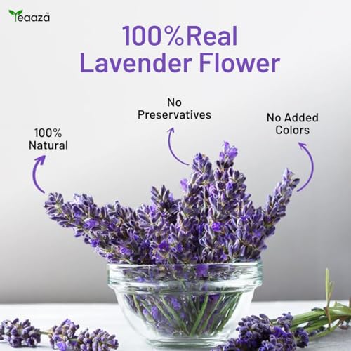 Image of TEAAZA Organic Lavender Tea Pack of 2: Calming Lavender Flower Tea For Relaxation And Wellness Support Promotes Good Sleep,Stress Relief|Improves Immunity|Soothing Tea For Relaxation|Reusable Pet Jar