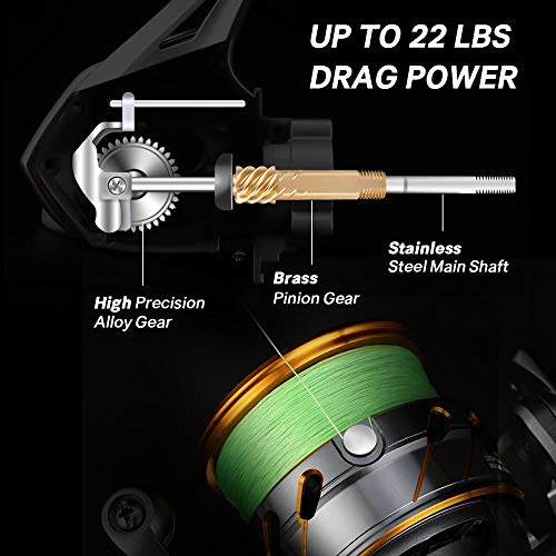SeaKnight Rapid II Saltwater Spinning Reel, 4.7:1,6.2:1 High Speed, Max Drag 22Lbs, Smooth Fresh and Saltwater Fishing Reel