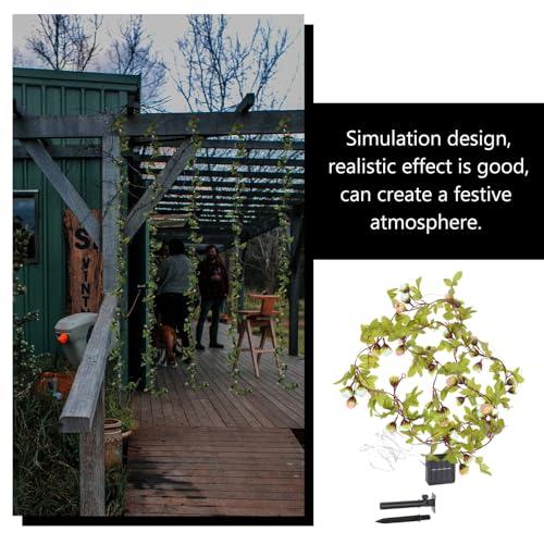 SOLUSTRE Solar Rose Vine Luces Solares 2m 20 LEDs miniatura 7