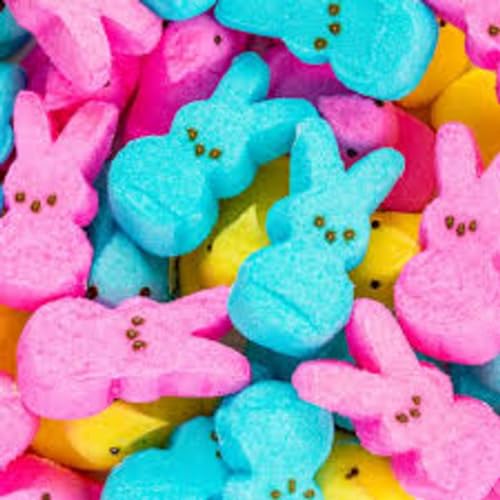 『A Little Blurb About Easter』のカバーアート