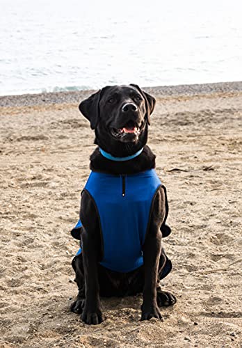 Lautus Pets Hundekühlwesten, Leichte Sommerjacke für Kleine Hunde mit Reißverschluss & Klett, Einfach An-/Auszuziehen für Spaziergänge & Draußen - XXL