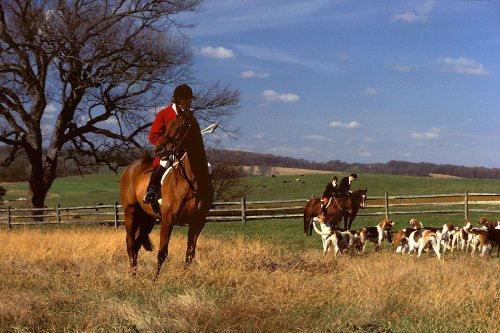 Maryland a Portrait 0911897607 Book Cover