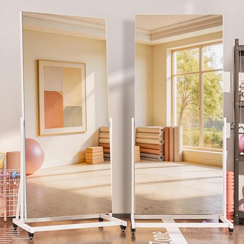 65 x 24 Full Length Rolling Mirror on Wheels for Home Gym 360 Rotate