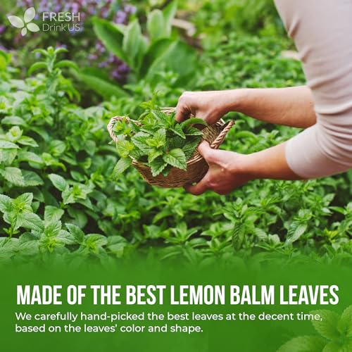Image of FreshDrinkUS, Premium 8 oz Lemon Balm Powder, 100% Natural & Pure, Herbal Tea, Daily Infusion Botanical, No Sugar, No Caffeine, No Gluten, Vegan.
