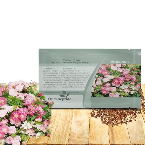 Rosa Chinensis Angel Wings Seeds packaging