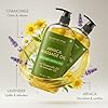 MAJESTIC PURE Arnica Sore Muscle Massage Oil for Massage Therapy-Refreshing & Relaxing-Natural Oils Lavender & Chamomile Essential Oils-All Skin Types- Men & Women Massage Lotion- 8 fl oz (Pack of 2) #3